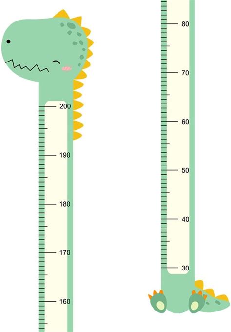 Buy Wland 9 inch x 7 feet Cute Dinosaur Animal Series Measurement ...