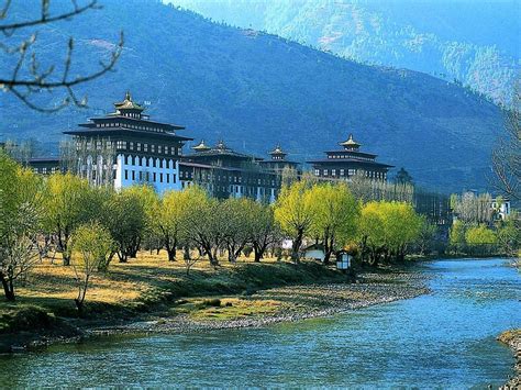 Image result for Bhutan Python Coders