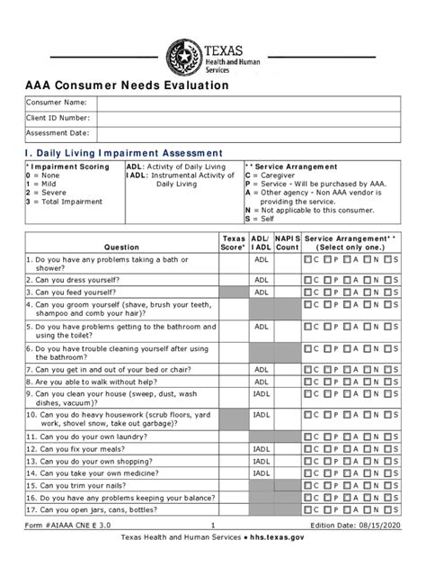 AAA Consumer Needs Evaluation Form - Blank Fillable Template | Fill Out ...