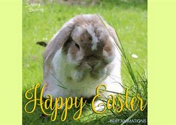 Image result for Magical Easter Images Bunny
