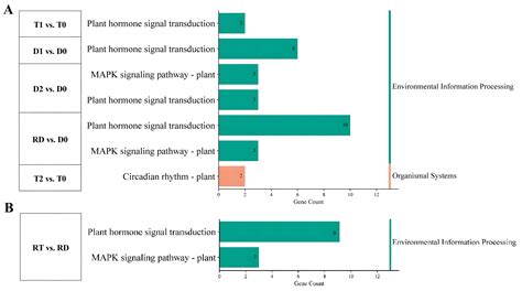 Transcriptome-Wide Analysis of Core Transcription Factors Associated ...