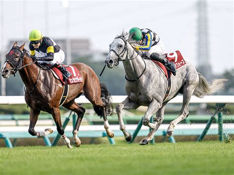 【AJCC想定騎手】ガイアフォースはC.ルメール騎手、エピファニーは戸崎圭太騎手 | 競馬ニュース - netkeiba