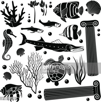Sea Creatures for Design 的图像结果
