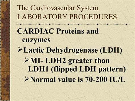 Cardiovascular & Hematologic System | PPT