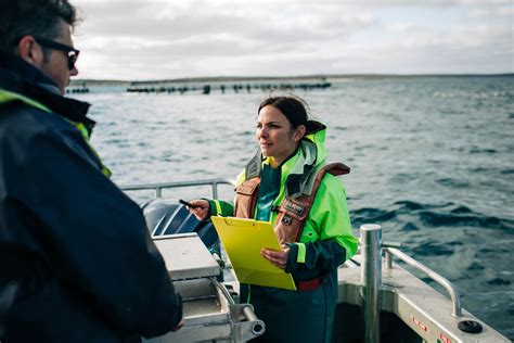 Image result for Environmental Monitoring