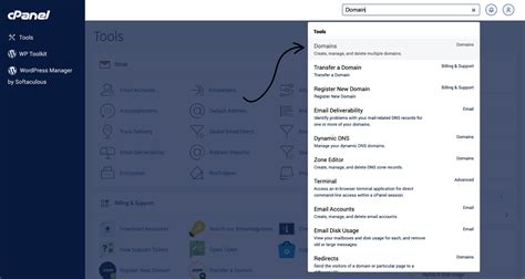 Image result for Domain cPanel