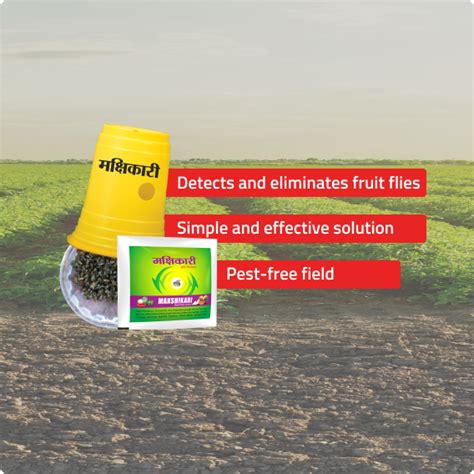 Makshikari Lure & Trap for Fruit Fly Control – Patil Biotech