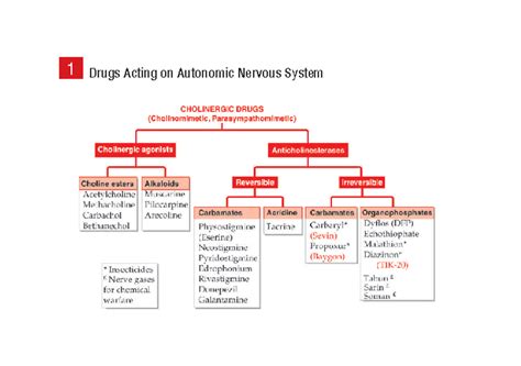 Pharmacology classification of drug KDT 4 - 1 Drugs Acting on Autonomic ...