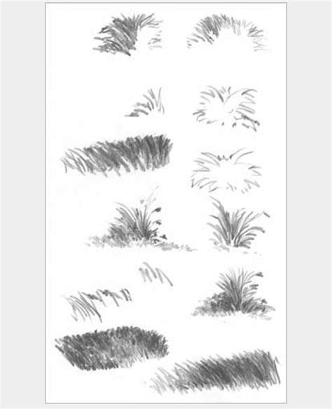 Image result for Drawing Grass Tutorial