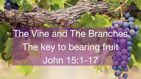 The Vine And The Branches; The key to fruitful living - Logos Sermons