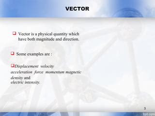 Vector Science Example 的图像结果