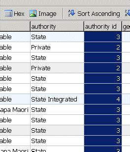 Update Column. SQL 的图像结果