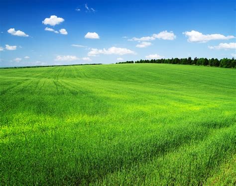 Field Calculator Python 的图像结果