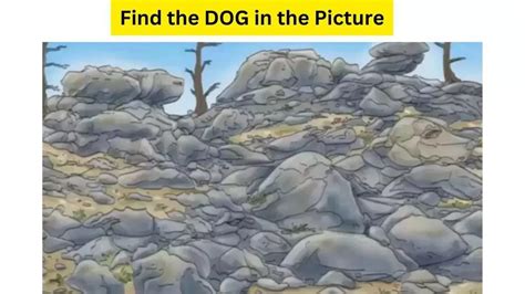 Optical Illusion IQ Test: Can You Find The DOG Hidden Among Rocks In 21 ...