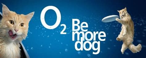 Image result for O2 Cast