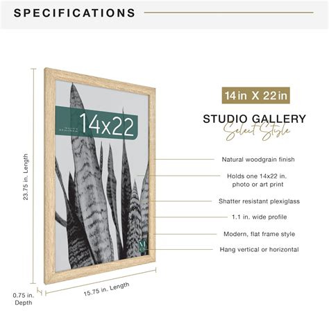Snapklik.com : MCS Studio Gallery 14x22 Poster Frame Natural Woodgrain ...