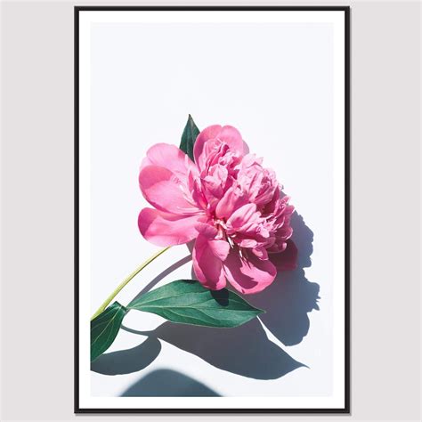 Walltherapy | Flower with Shadow Painting | Wall Painting with Frame ...
