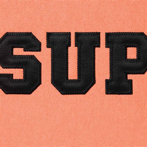 Collegiate Hooded Sweatshirt | Supreme 24ss
