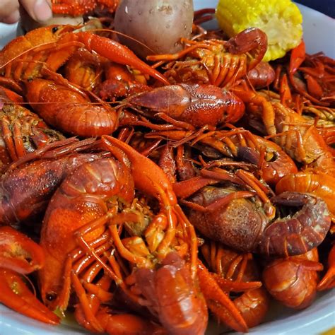 Wards Crawfish Hole | 768 Crystal Hill Rd, Hot Springs, AR 71913, USA