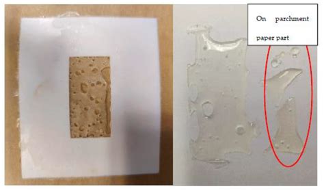 PLA Renewable Bio Polymer Based Solid-State Gamma Radiation Detector ...
