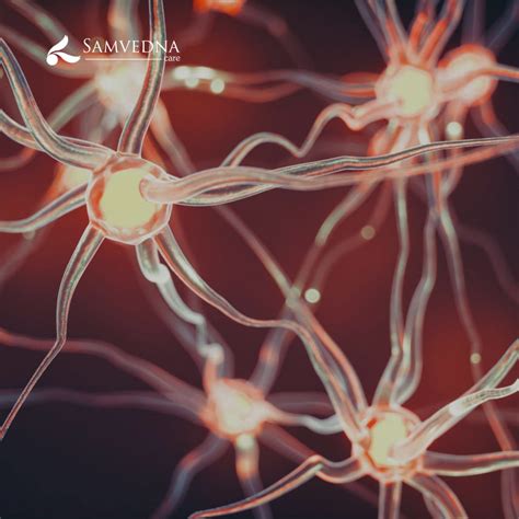 Your Body’s Chemical Messengers: Hormones | Mental health therapist