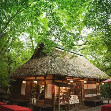 JNTO - Official Tourism Guide for Japan Travel (INDIA)