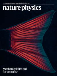 Nature Physics 的图像结果