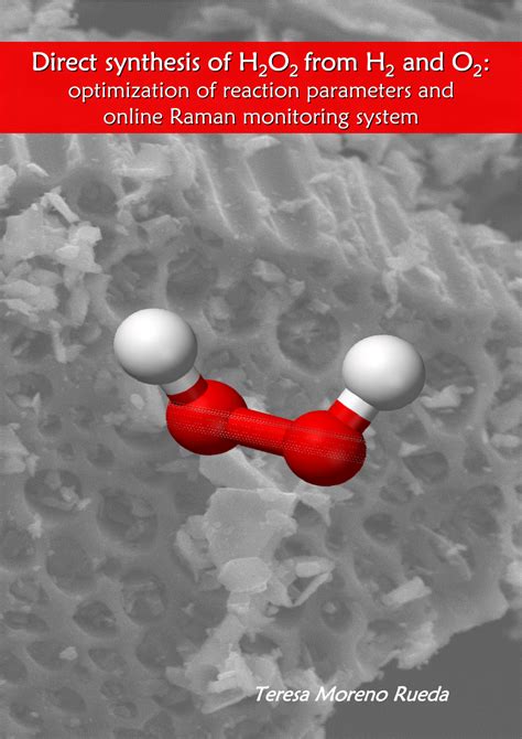H2O2 H2O2 Reaction Type 的图像结果