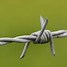 barbed wire 的图像结果