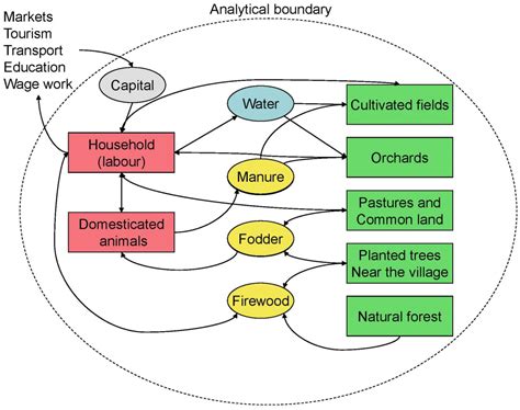 Flexibility of Scope, Type and Temporality in Mustang, Nepal ...