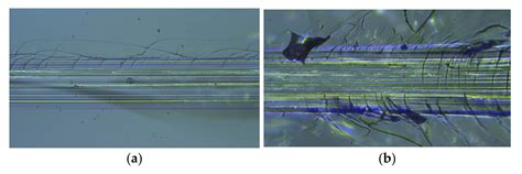 The Influence of Magnetron Sputtering Process Temperature on ZnO Thin ...