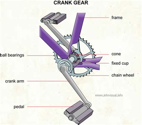 Solved The length of a bicycle crank arm is 0.114 m, and a | Chegg.com
