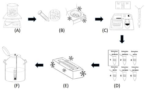 Cryopreservation and Cryobanking of Cells from 100 Coral Species