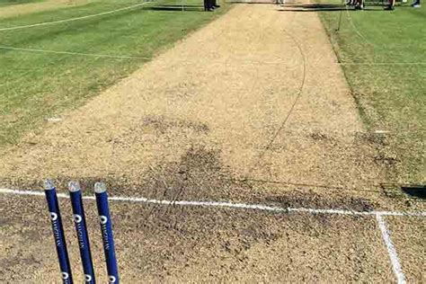 Aussie curator Page promises life at Melbourne﻿ for Boxing Day Test