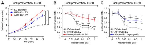 Extracellular Vesicles from Cerebrospinal Fluid of Leptomeningeal ...