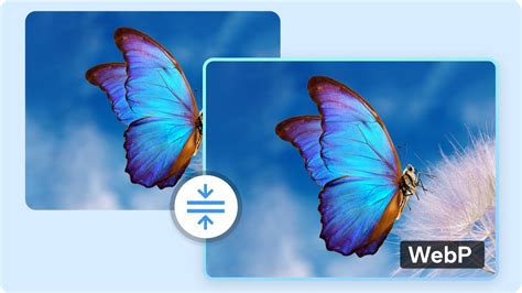 WebP 的图像结果