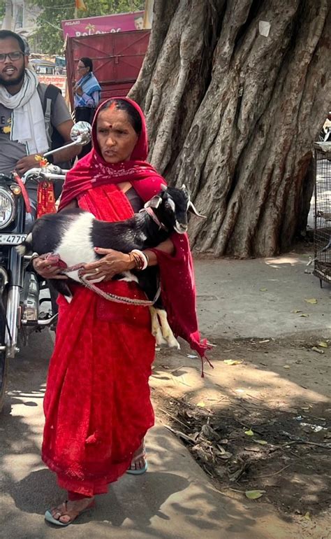 BHOR Foundation-Sustaining Livelihood.