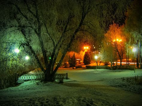 Winter Night Serenity: A Stunning HD Wallpaper of a Park Scene