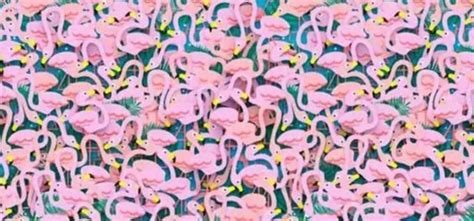 Optical Illusion IQ Test: Find Hidden Ballerina In 9 Seconds