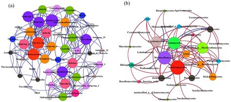 Soil Properties Regulate Soil Microbial Communities During Forest ...