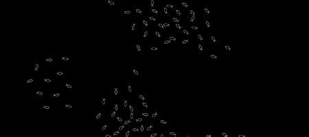 Image result for JavaScript Effects