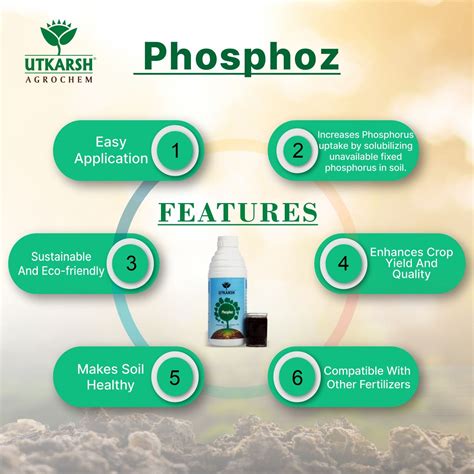 Phosphate Solubilizing Bacteria - PSB, Liquid Bio Fertilizer for Plant