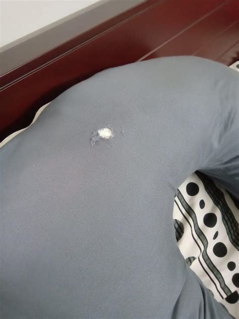 Angel Mommy Stylish-Multifunctional U Shape Pillow/Pregnancy Pillow ...