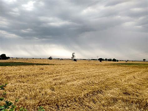 Latest in farmer woes: Heavy unseasonal rain, pending payouts from ...