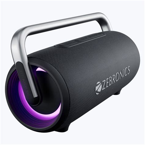Zebronics Axon 100 Portable Wireless Speaker