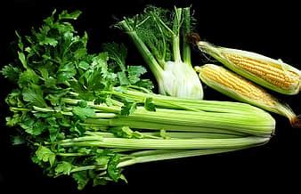 Celery Python Logo 的图像结果