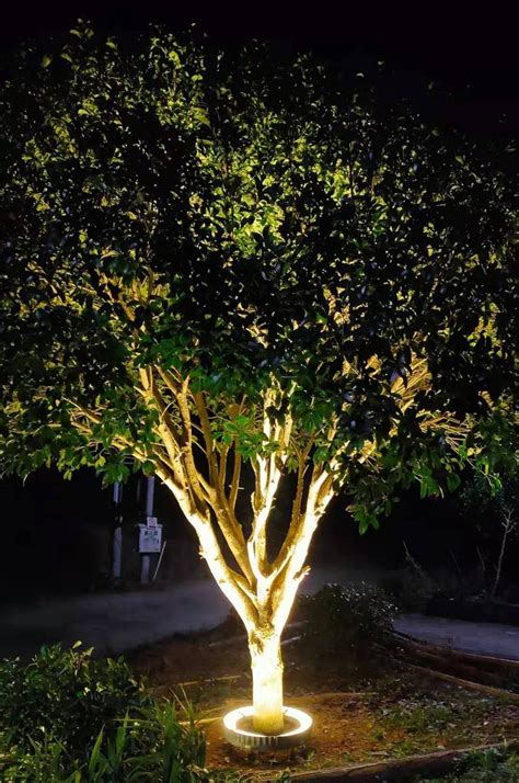 Garden Light Ideas - HONDEL LIGHTING | Outdoor garden lighting, Outdoor ...