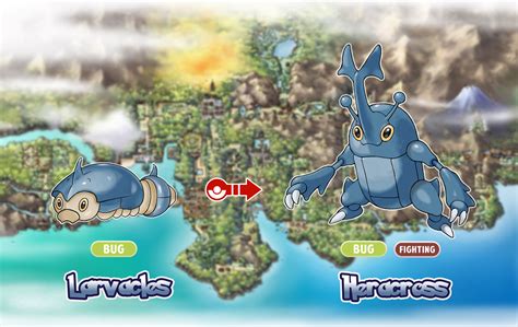 Grafico De Evolucao Heracross Carta Pokémon Mega Heracross Ex Rara