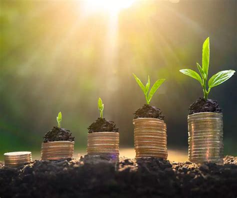 Ebony Wealth Private Limited