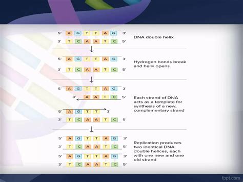 Image result for DNA Microarray Device